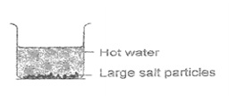 hot water cup.jpg